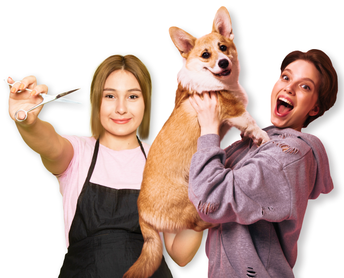 Базовый курс