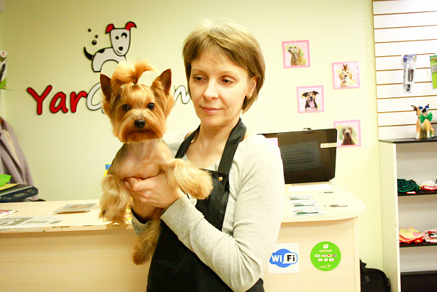 Базовый курс 17.03.2019 Базовый курс 17.03.2019