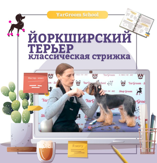 On-line мастер-класс "Йоркширский терьер"