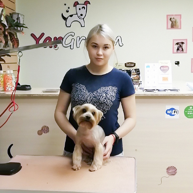 Базовый курс 29 ноября 2019 Базовый курс 29 ноября 2019