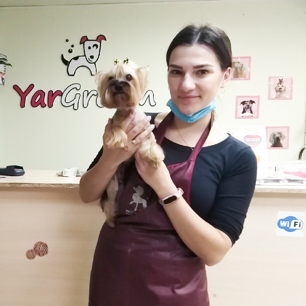 Базовый курс 29 ноября 2019 Базовый курс 29 ноября 2019