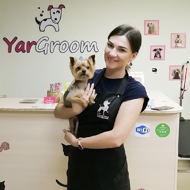 Базовый курс 29 ноября 2019 Базовый курс 29 ноября 2019