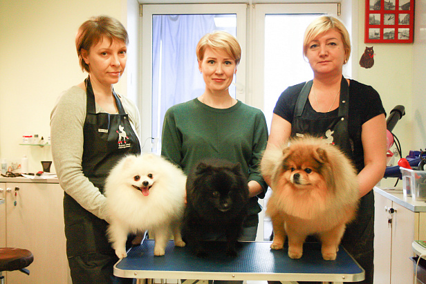 Базовый курс 17.03.2019 Базовый курс 17.03.2019
