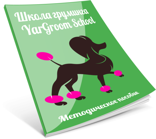 Методическое пособие